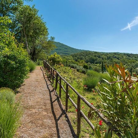 Borgo Fastelli - House In Historical Borgo In Tuscany - Sambuco Sarteano Eksteriør bilde